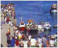 Sail from Dingle Pier